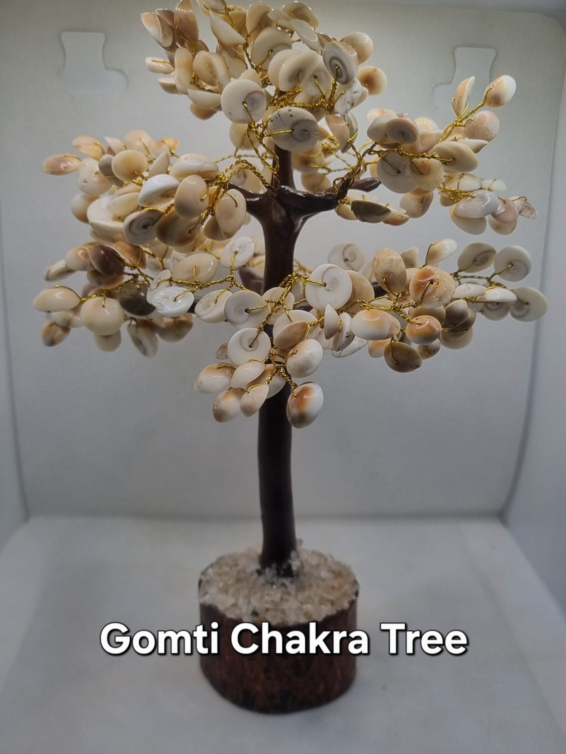 GOMTI CHAKRA TREE